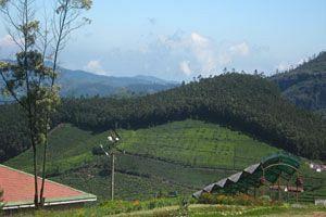 Doddabetta Resort Ooty Dış mekan fotoğraf